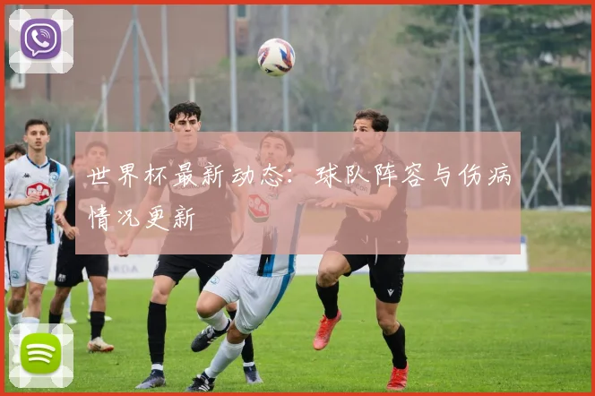 世界杯最新动态：球队阵容与伤病情况更新