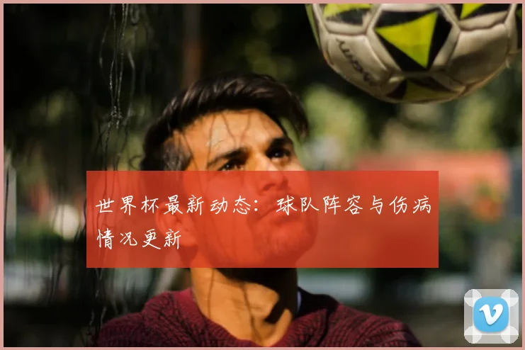 世界杯最新动态：球队阵容与伤病情况更新