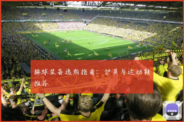 排球装备选购指南：护具与运动鞋推荐